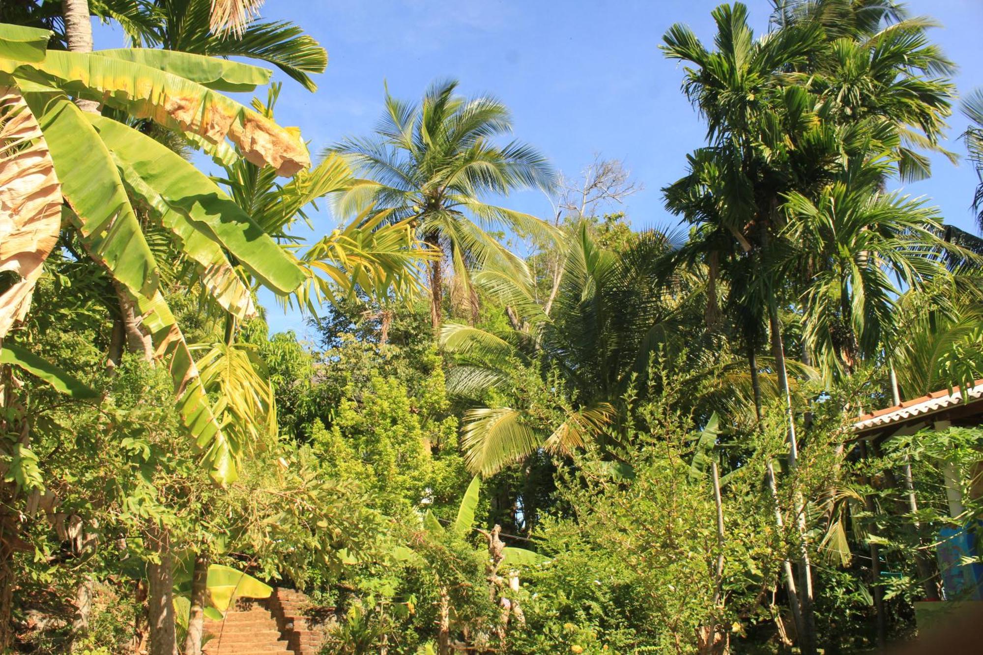 Serenity Sigiri Resort Sigiriya Exterior photo
